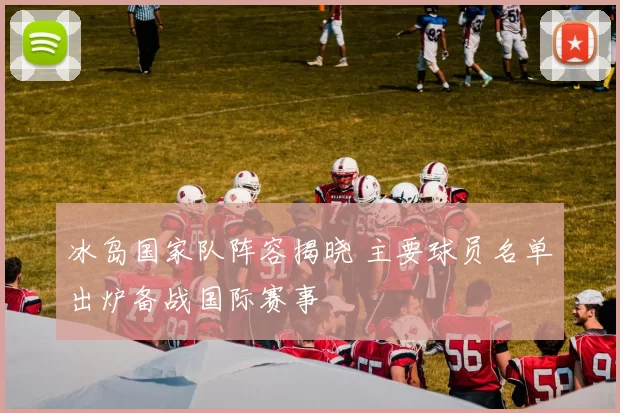 冰岛国家队阵容揭晓 主要球员名单出炉备战国际赛事