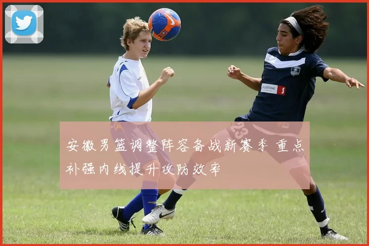 安徽男篮调整阵容备战新赛季 重点补强内线提升攻防效率