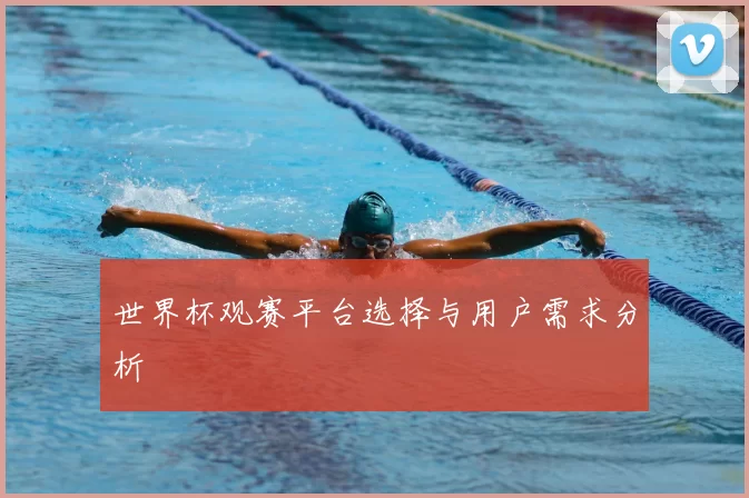 世界杯观赛平台选择与用户需求分析